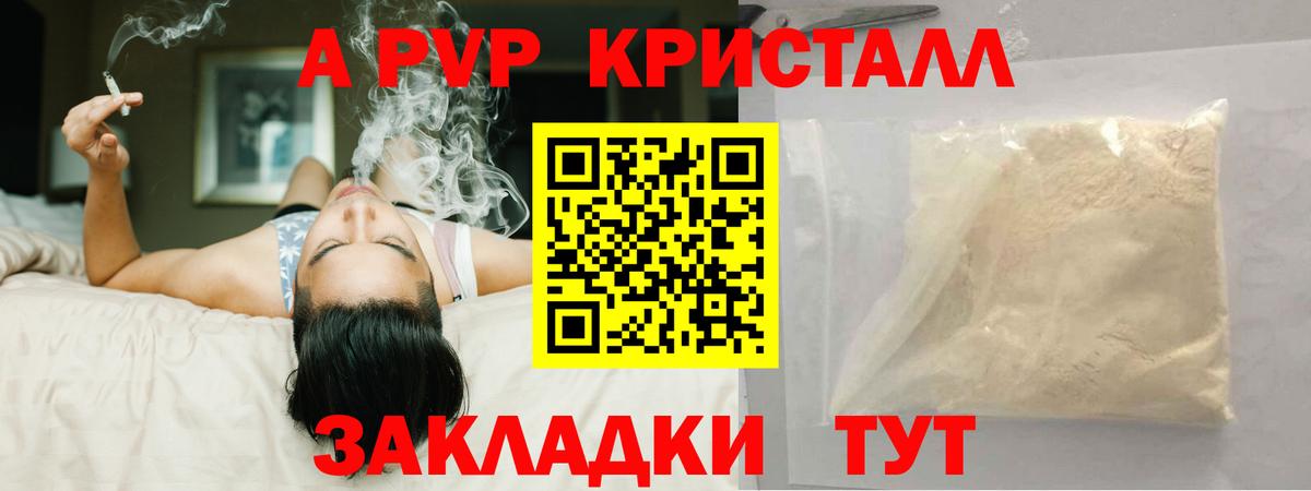A PVP СК КРИС Орск