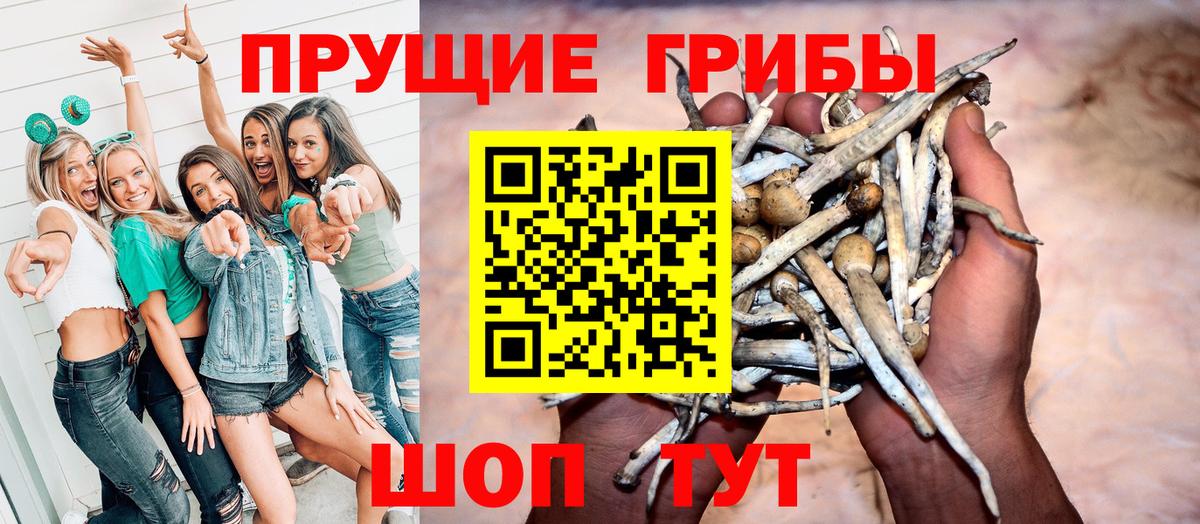Орск  Галлюциногенные грибы GOLDEN TEACHER  Вход с VPN 