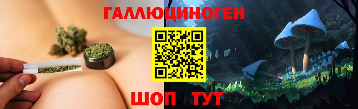 Галлюциногенные грибы Psilocybine cubensis Орск